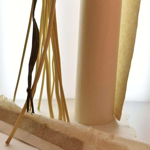 Fabrication de papier japonais - Instants curieux