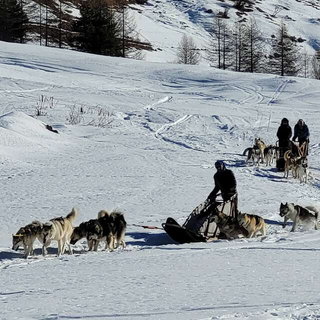 Journée (sportive) avec les chiens de traîneaux au refuge Agnel