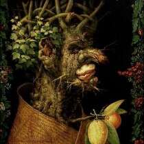 Atelier jeune public - Joue avec Arcimboldo