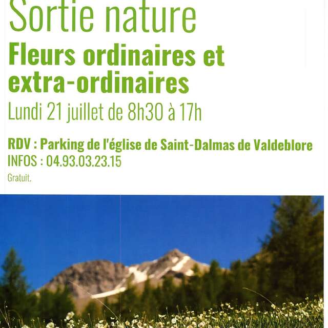 Fleurs ordinaires et extra-ordinaires