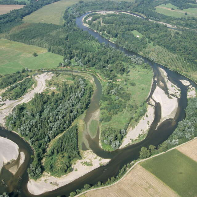 La symphonie du vivant, quand la biodiversité se fait entendre