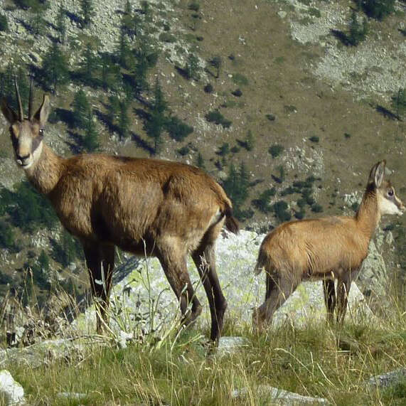 Randonnées montagne, Christiane Ray Anezin