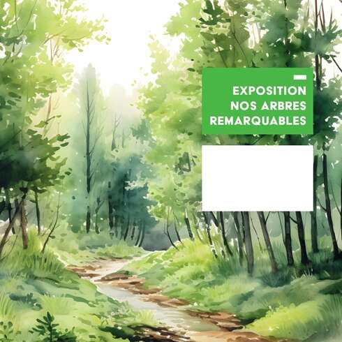 Exposition | Nos arbres remarquables