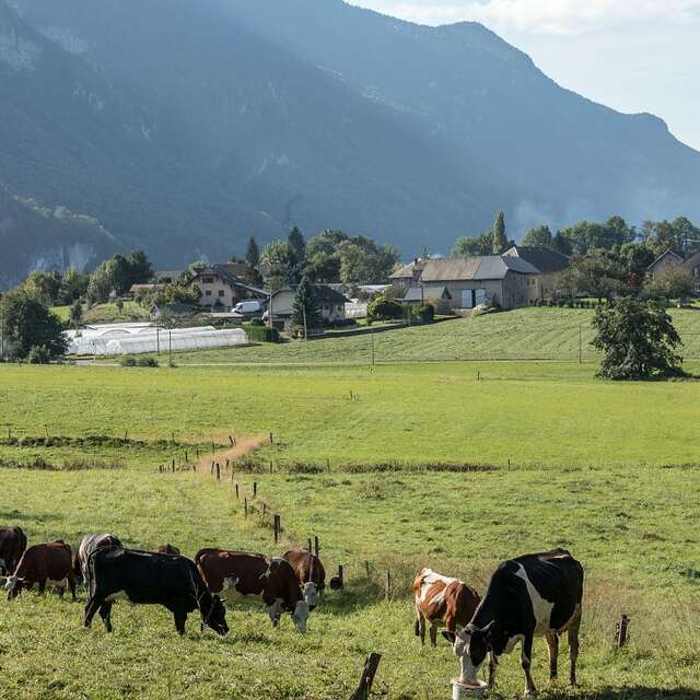 Les Hauts de Vimines