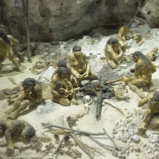 Musée de la Préhistoire Terra Amata
