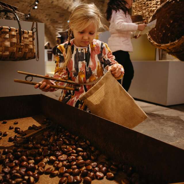 Castanea - Informatiecentrum over de kastanjes uit de Ardèche