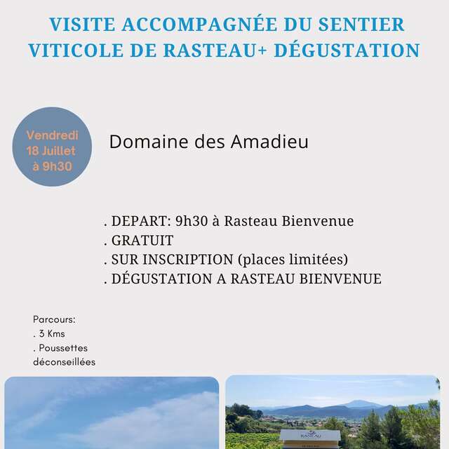 Visite accompagnée - sentier viticole & panoramique