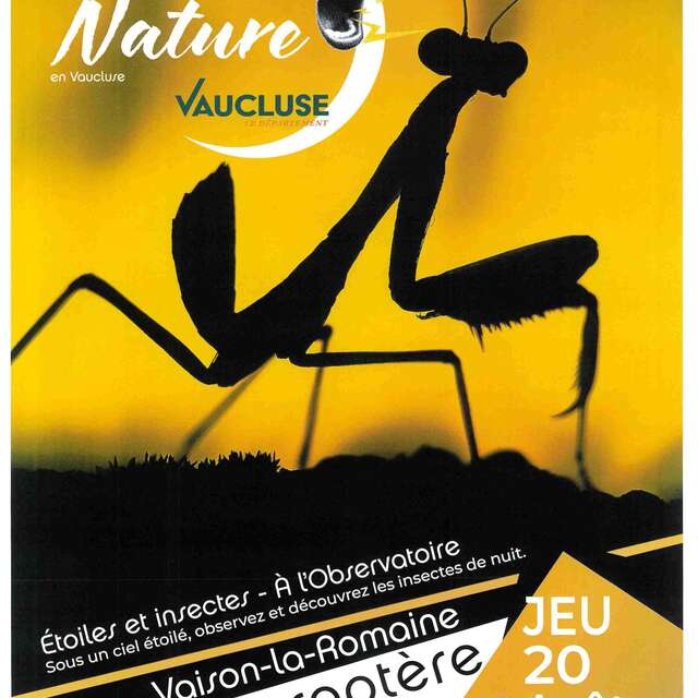 Naturveranstaltung „Sterne und Insekten“ – Le Naturoptère