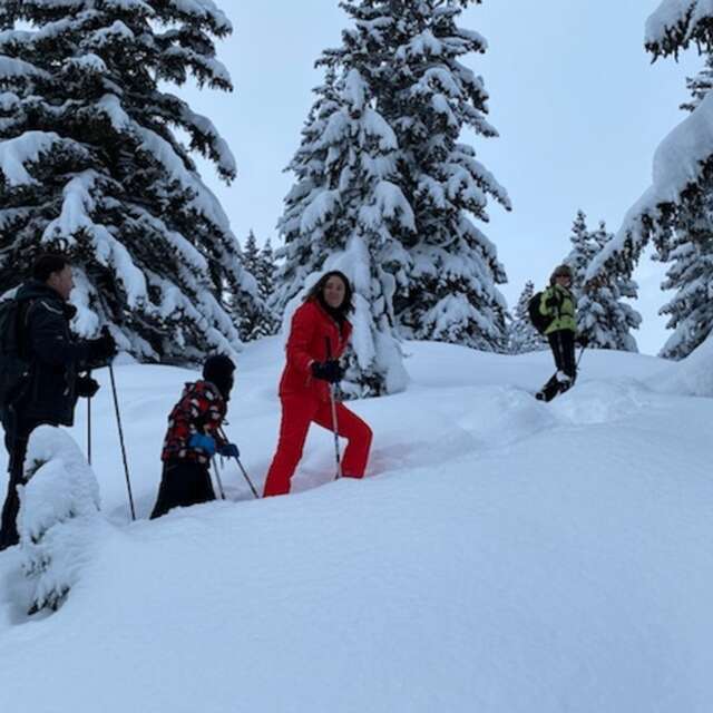 Balade oxygénée avec panorama sur le Mont-Blanc