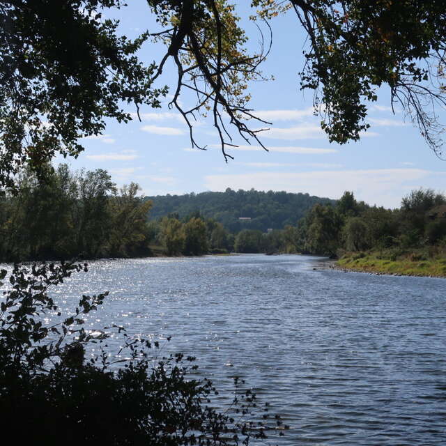 Balade à vélo - Au fil de la rivière Allier