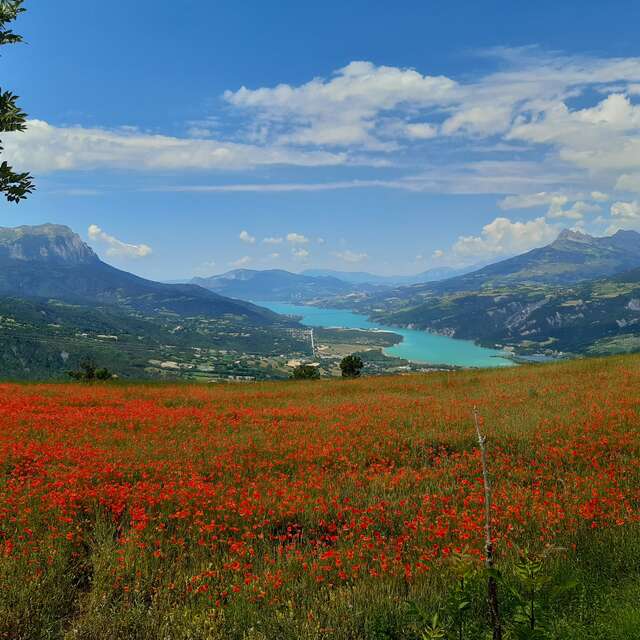 6 - Vers le Pont de Mars