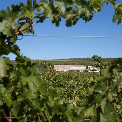 Domaine de Belambrée