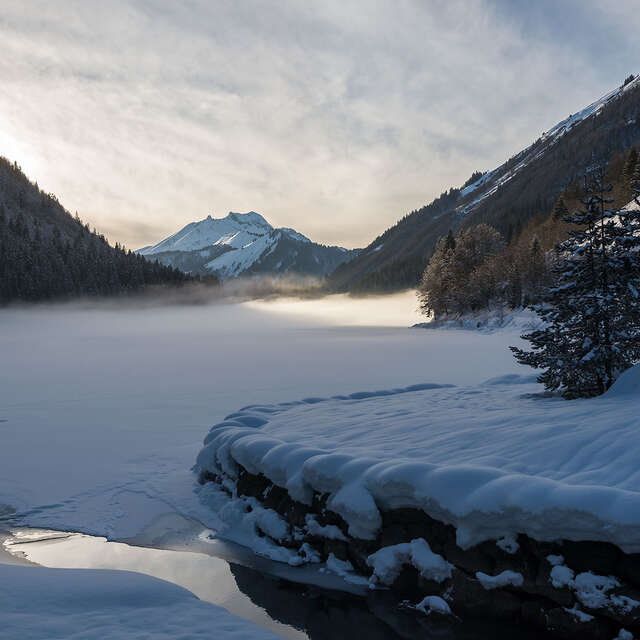 Montriond Lake to the Albertans, snowshoeing itinerary
