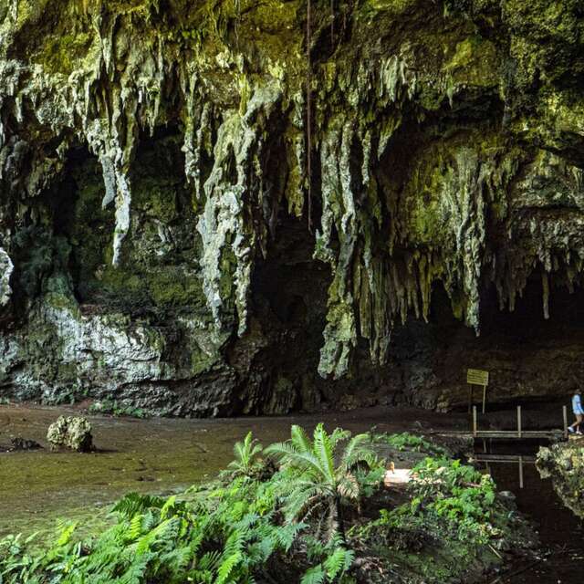 Grotte d'Oumagne / Reine Hortense