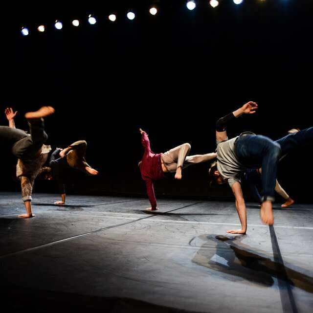 Les Hivernales, festival de danse - 48e édition