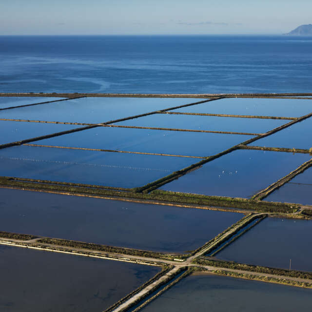 Sentier du littoral – Balade du Salin de Pesquiers aux Vieux Salins