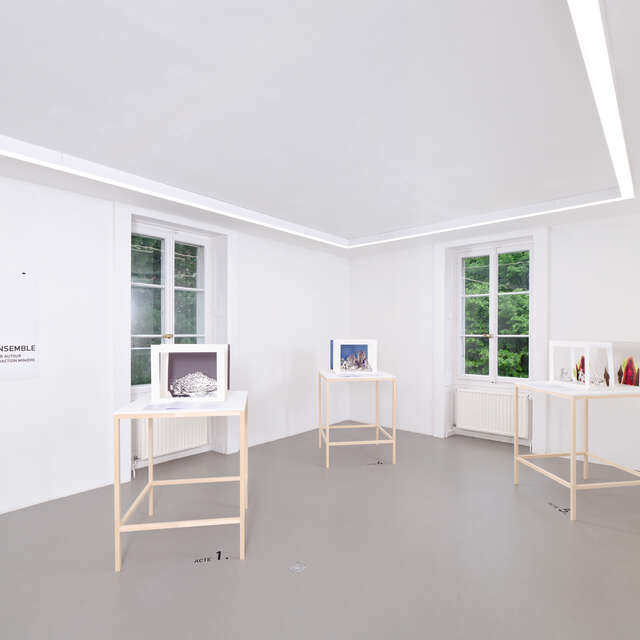 Visite artiste-commissaire : art et activisme