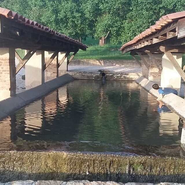 Balade - Journans, source de la Reyssouze - Lavoir de La Chanaz