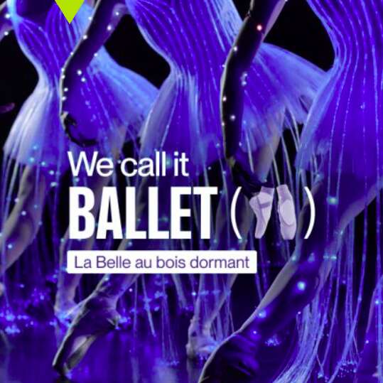 La Belle au Bois Dormant