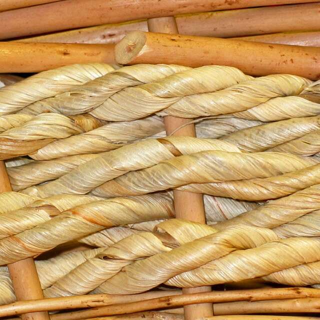 Initiation à la vanerie : tressage d'un plateau