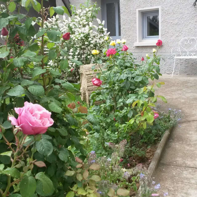 Les Gîtes du Pont de Pierre - Petit Gîte