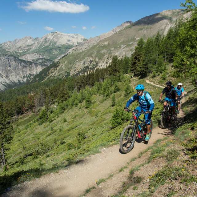 VTTAE All Mountain 100% singletracks