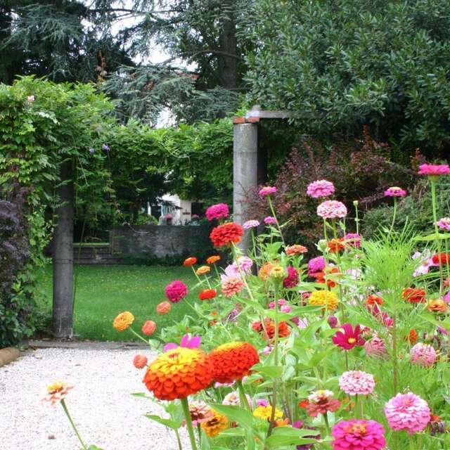 Le Jardin d'Alice