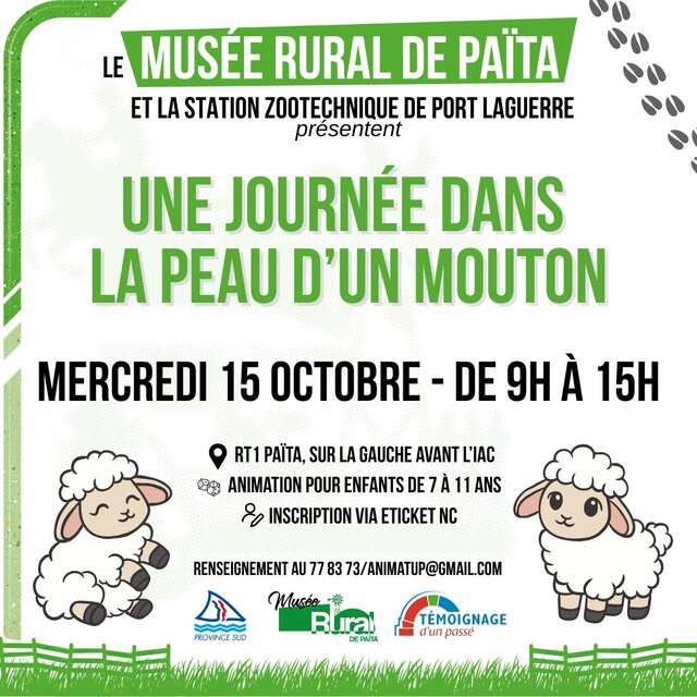 Dans la peau d'un mouton -ATUP NC