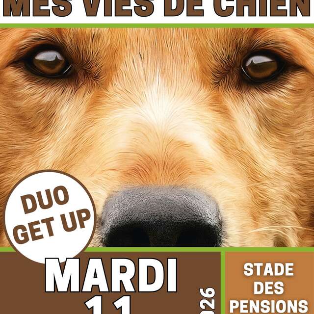 Ciné/Concert - Mes vies de chien