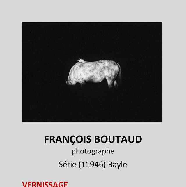 Exposition : Série (11946) Bayle