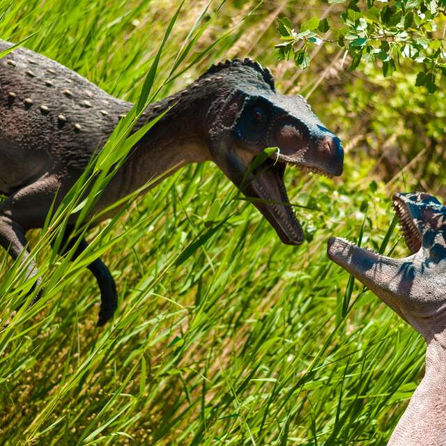 Exposition "Au temps des dinosaures"