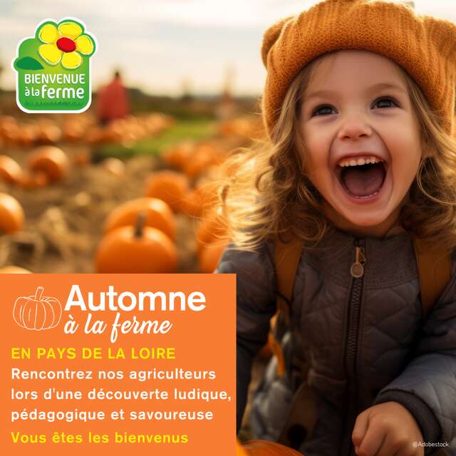 Automne à la ferme - GAEC Miel et Loire