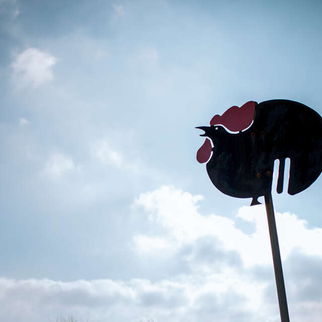 Libellules et Papillons / Balade Famille