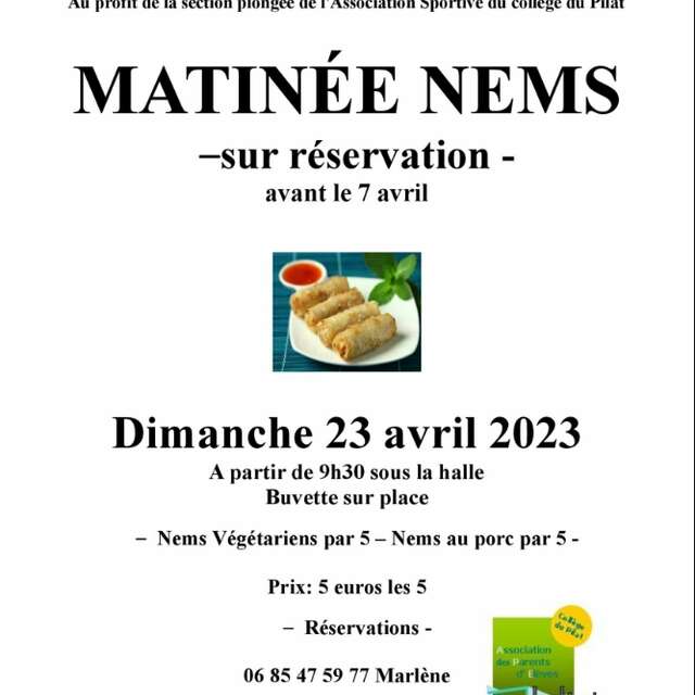 Matinée Nems