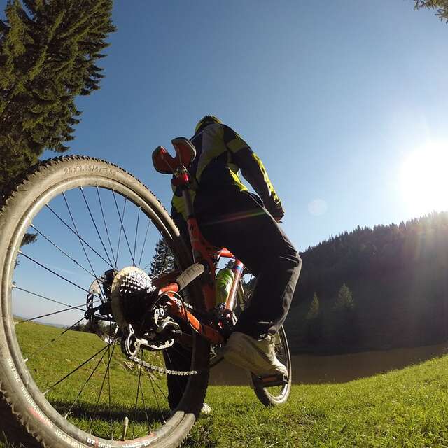 Forest'Cime
