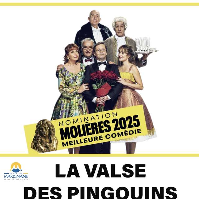 Théâtre : La valse des pingouins (Nomination aux Molières 2025 : meilleure comédie)