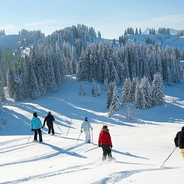 Cours de ski alpin
