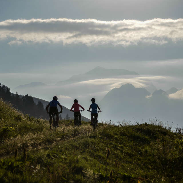 Electric mountain biking