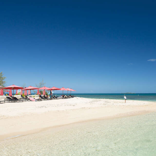 Duck islet beach
