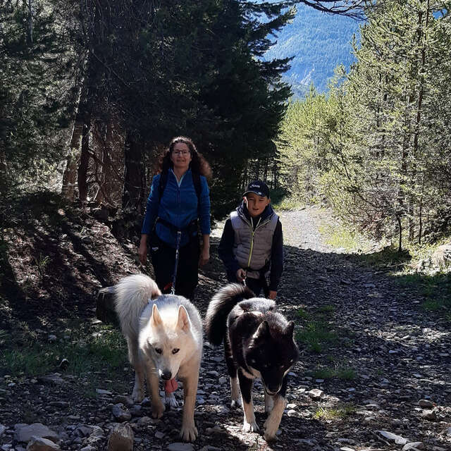 Montagnes d'Ubaye: canicross