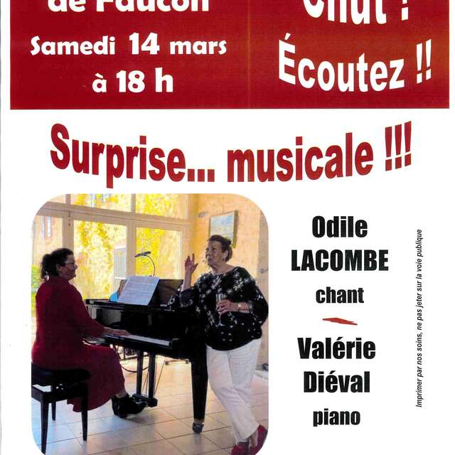 "Chut! Ecoutez!! Surprise...musicale!!!" à la bibliothèque de Faucon