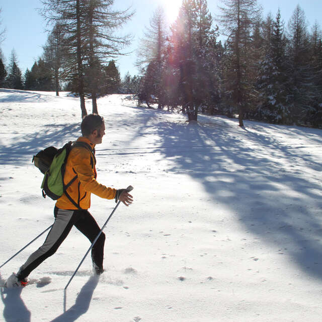 Marche nordique - Accompagnateurs en montagne du Champsaur