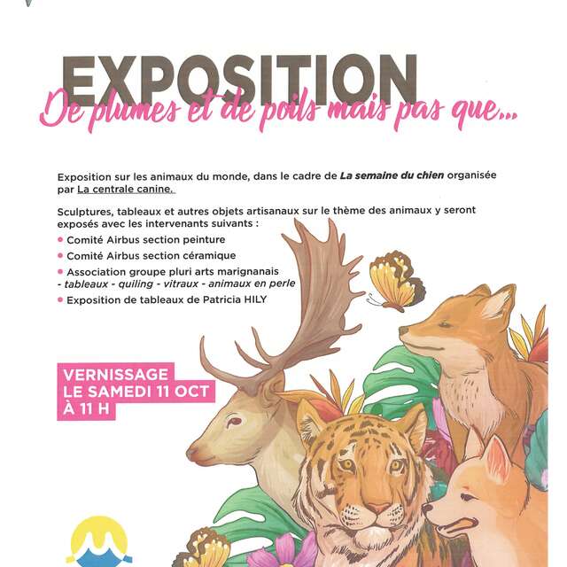 Exposition : De plumes et de poils mais pas que...