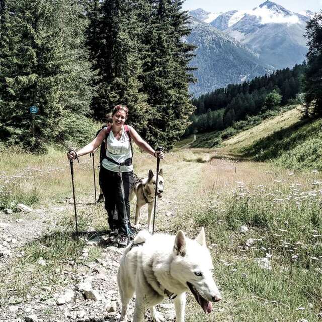 Cani-rando avec Evolution 2