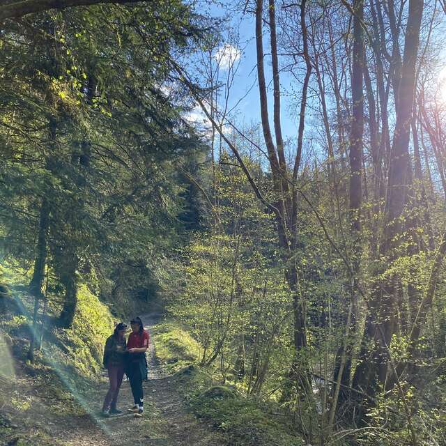 Parcours d'orientation rando trail