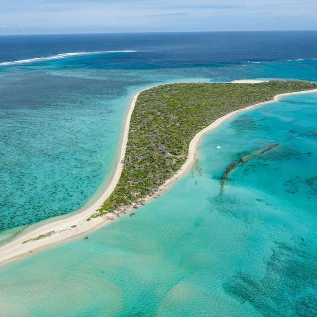 Îlot Tenia