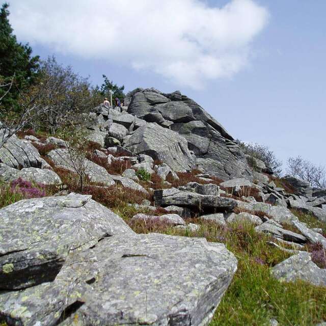 29 - Tour du Pic du Lizieux