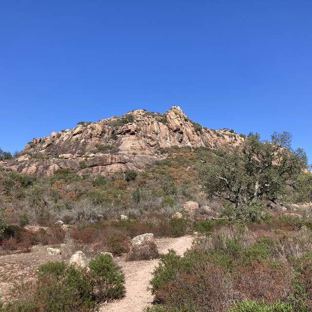 Balade naturaliste au Rocher avec Alex