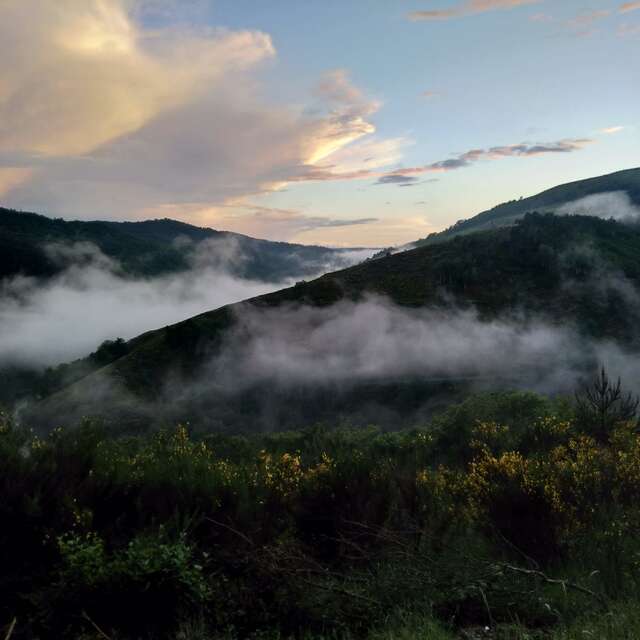 Ferme équestre des Mourènes - Producteur de châtaignes