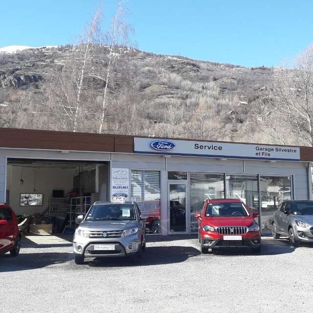 CarGo Silvestre & Fils